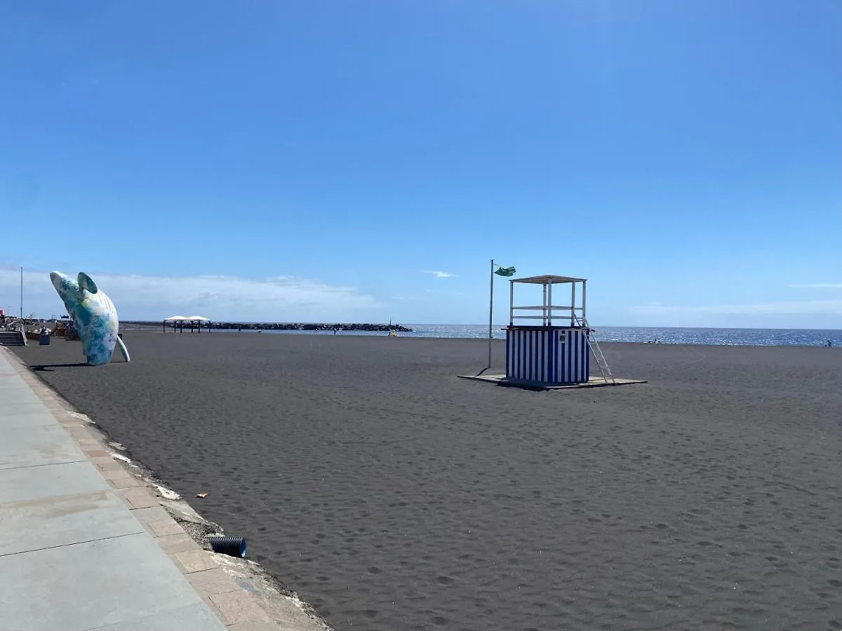 El Mercado Santa Cruz de la Palma  Santa Cruz de la Palma (Isla de la Palma)