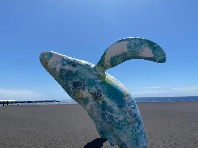 El Mercado Santa Cruz de la Palma  0*, Santa Cruz de la Palma (Isla de la Palma) España